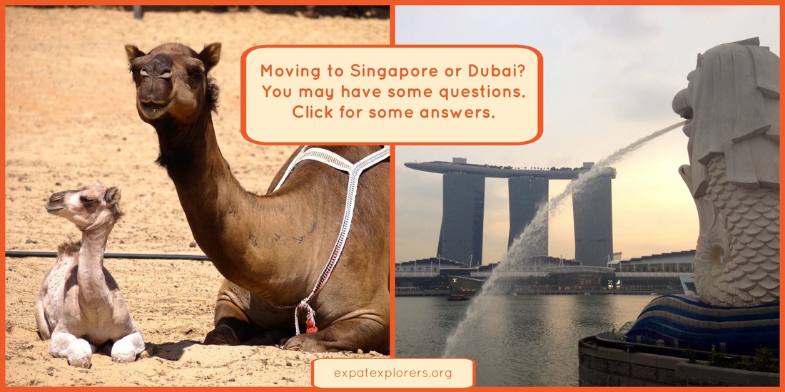 Expat advice for moving to Singapore or Dubai