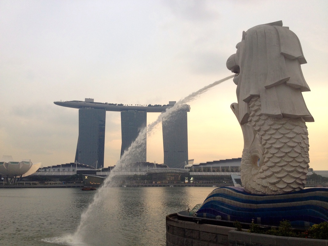 Singapore expat travel 
