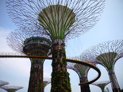 Singapore's  Gardens by the Bay